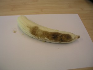 Bananen van Albert Heijn kan je he beste in de winkel zelf opeten. De volgende ochtend zijn ze van kleur veranderd. Bananen van Albert Heijn kan je he beste in de winkel zelf opeten. De volgende ochtend zijn ze van kleur veranderd.