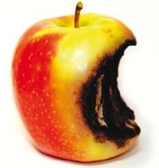 rotte appel